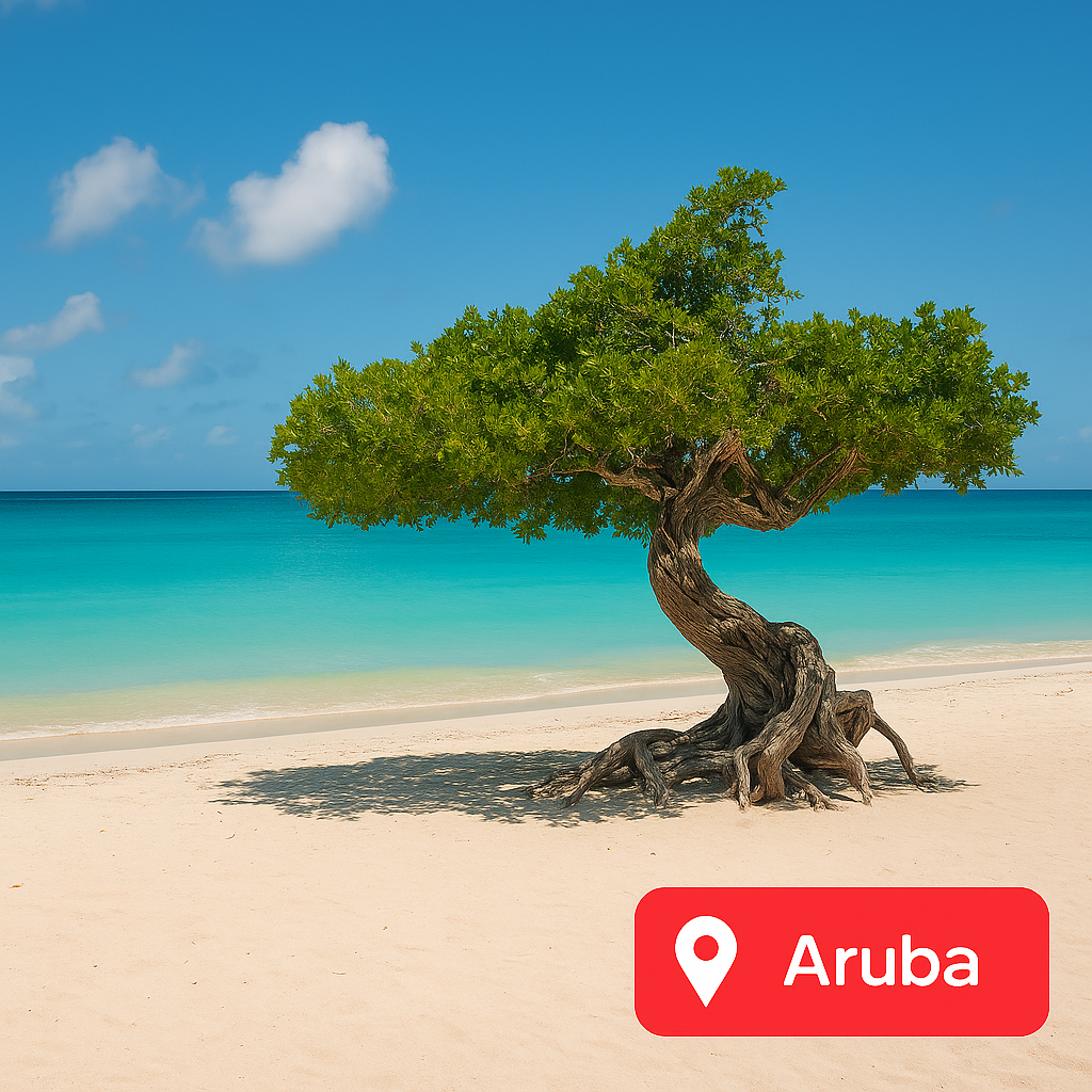 airport transfers Aruba