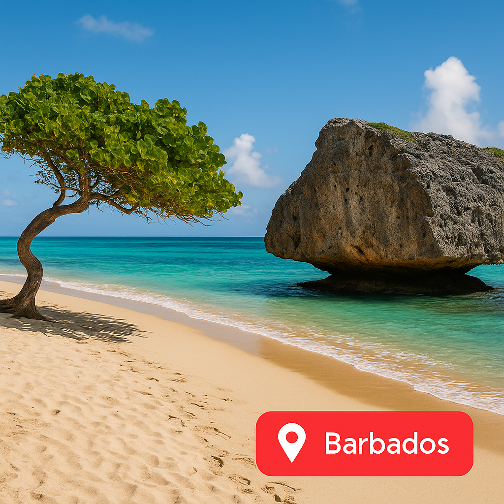 Airport Transfers Barbados